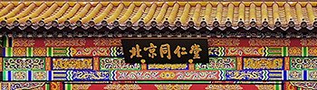 栏目用于追新